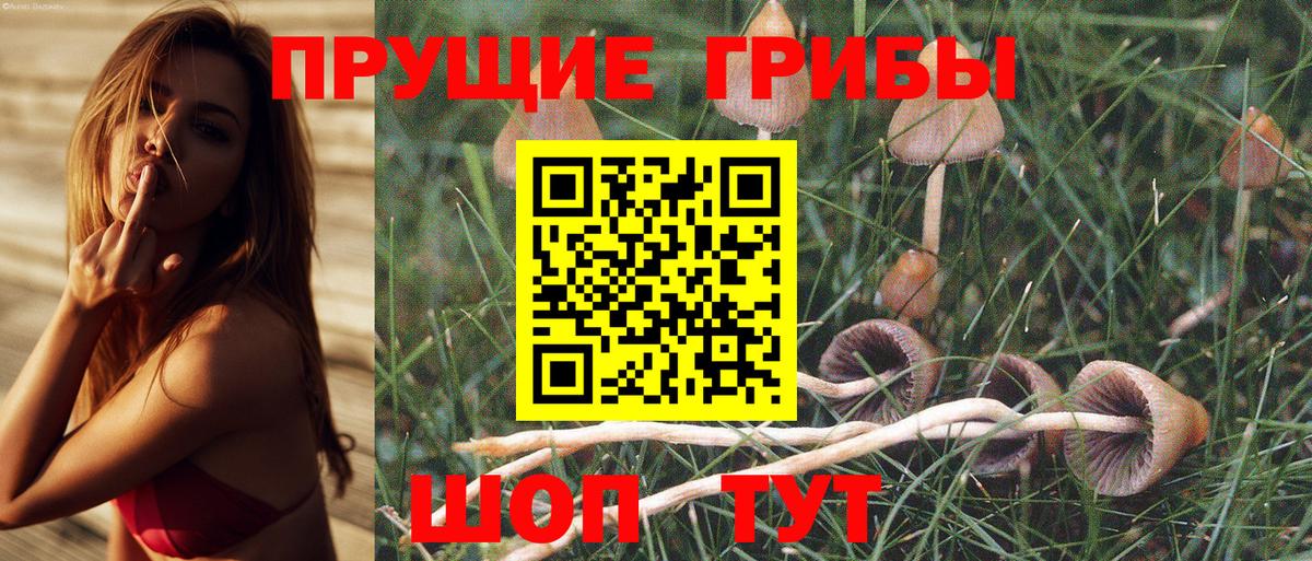 Лиски  Псилоцибиновые грибы ЛСД  Вход с VPN 