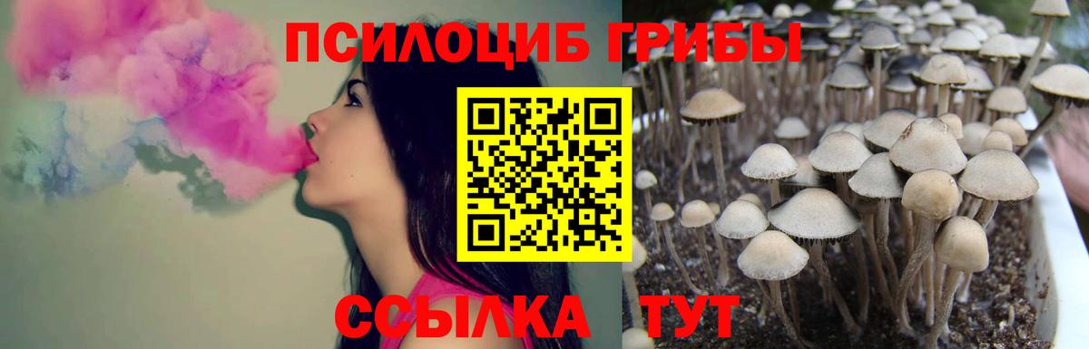 Псилоцибиновые грибы GOLDEN TEACHER Лиски